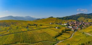 Alsace