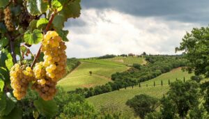 Bourgogne