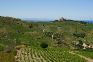 Sud-Ouest-Languedoc-Roussillon