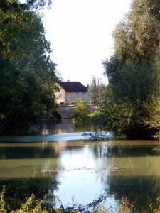 chablis 23a quiétude des bords du serein (Small)