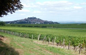 sancerre 1 (Small)