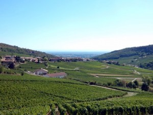 vergisson 7a (Small)