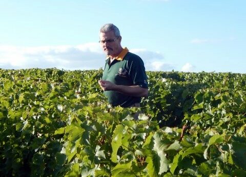 la hallette aux vins gouté le raisin