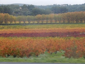 la hallette aux vins les trois couleurs du bandol