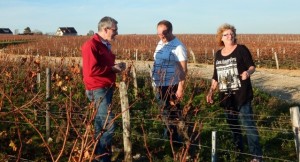 chablis 11