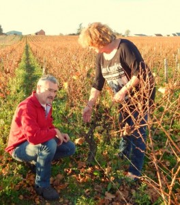 chablis leçon sur la taille 2