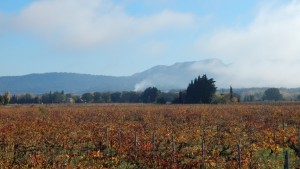 la hallette aux vins le brouillard se dissipe sur les dentelles