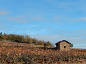 moulin favre la cadole 1