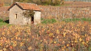 moulin favre la cadole