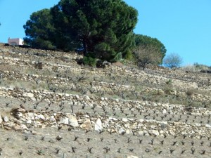 03 collioure