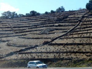 04 collioure