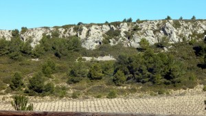 040 languedoc