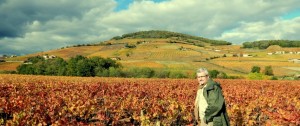 la-hallette-aux-vins-au-pied-du-mont-brouilly