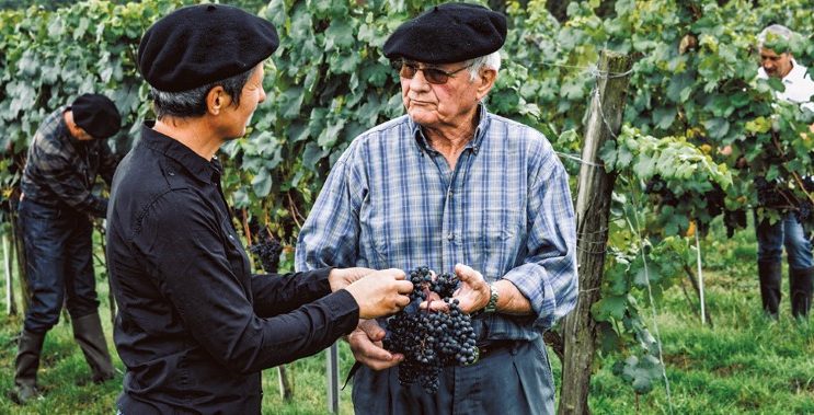 Vignerons Sud-Ouest