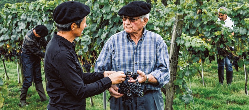 Vignerons Sud-Ouest