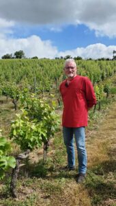 Dans le vignoble