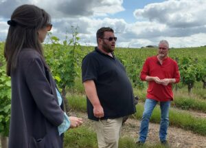 Explications sur le terroir