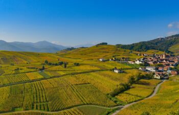 Alsace Alsace