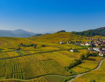Alsace