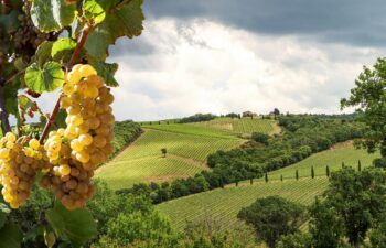 Bourgogne