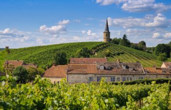 Méthode Champenoise Méthode Champenoise