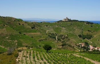 Sud-Ouest-Languedoc-Roussillon