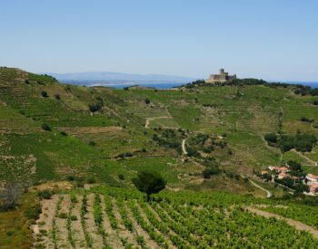 Sud-Ouest-Languedoc-Roussillon