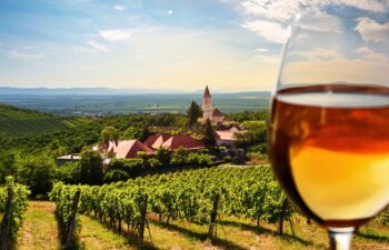 Vins Doux Moelleux Vins Doux Moelleux