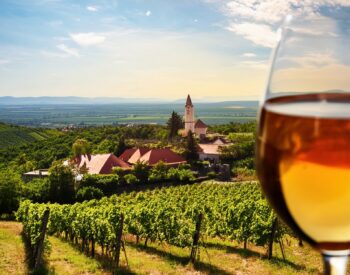 Vins Doux Moelleux