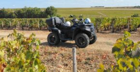 01 quad 01 quad